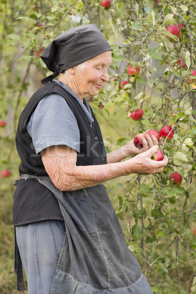 Donna mai up stile di vita vecchia giardino Foto d'archivio © Lighthunter