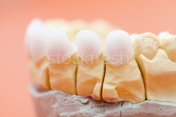 Zircon teeth Stock photo © Lighthunter