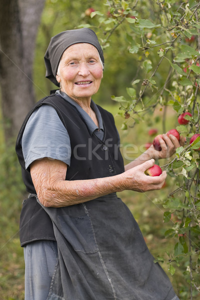 Zdjęcia stock: Kobieta · nigdy · w · górę · życia · staruszka · ogród