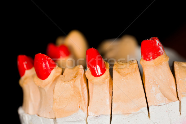 Dental Technicians Work Stock photo © Lighthunter