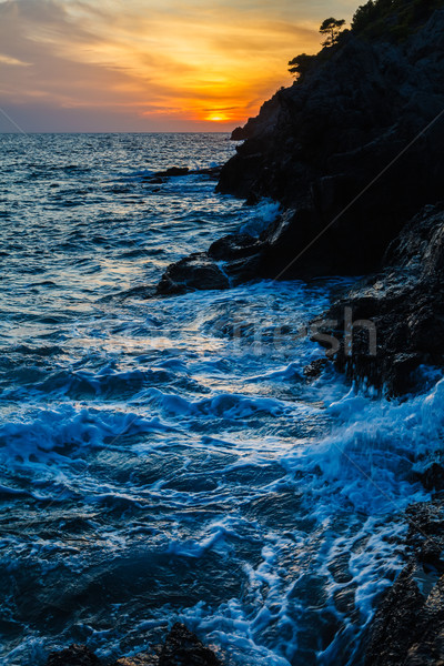 Dag zon beneden golven zonsondergang natuur Stockfoto © Lighthunter