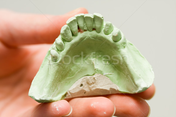 Gips makro shot model zęby przygotowany Zdjęcia stock © Lighthunter