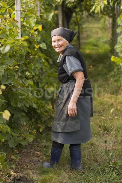 Elderly woman in the garden Stock photo © Lighthunter