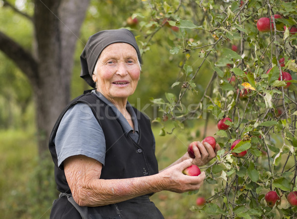 Vrouw nooit omhoog lifestyle oude vrouw tuin Stockfoto © Lighthunter