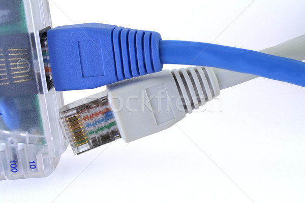 Netzwerk Staus zwei Kabel ein Port Stock foto © lightkeeper