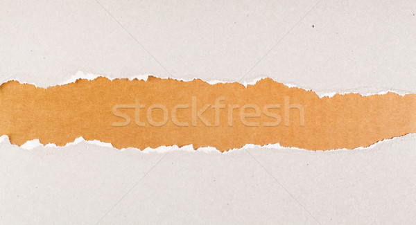 Yırtılmış yırtık kağıt gri karton Stok fotoğraf © lightkeeper