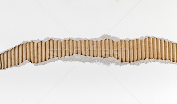 Gescheurd gescheurd papier witte karton tonen Stockfoto © lightkeeper