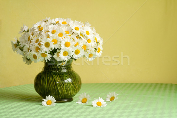 Rich daisy bouquet on the table Stock photo © lightkeeper