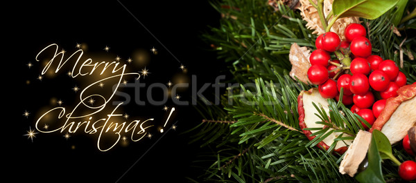 Christmas themed banner with copy space Stock photo © lightkeeper