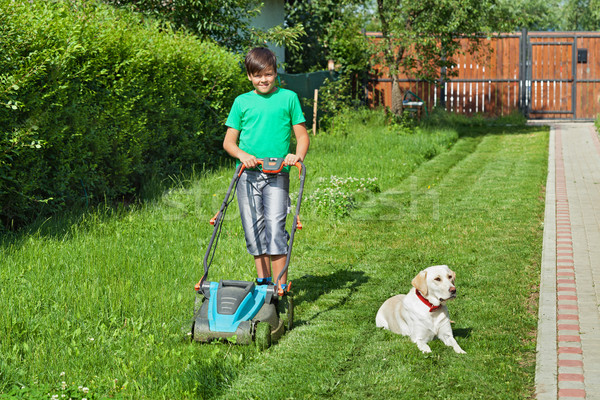 Boy cutting grass in the summer yard Stock photo © lightkeeper