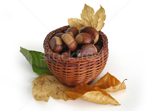Basket completo foglia verde inverno Foto d'archivio © lightkeeper