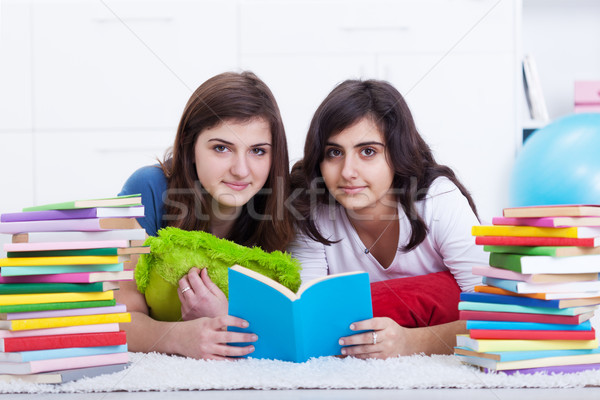 Tutoring concept - girls learning together Stock photo © lightkeeper