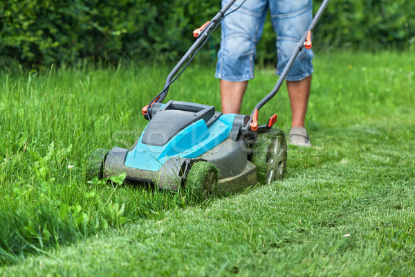 Man cutting the grass with a lawn mower Stock photo © lightkeeper