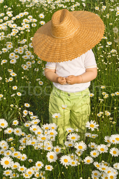 [[stock_photo]]: Seuls · marguerites · petite · fille · chapeau · de · paille · domaine