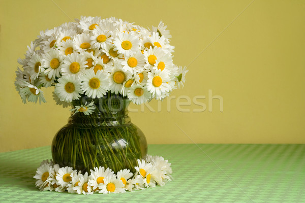 Daisies in a vase and a wreath Stock photo © lightkeeper