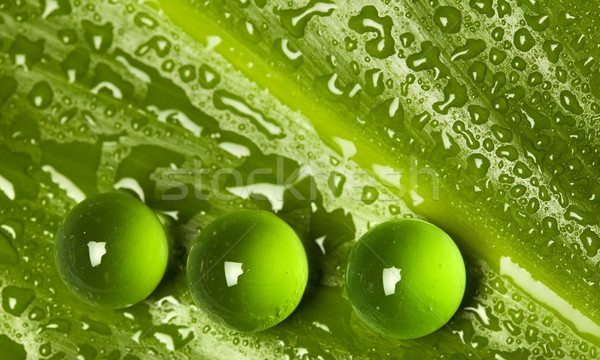 濕 綠葉 模式 彈珠 水滴 質地 商業照片 © lightkeeper