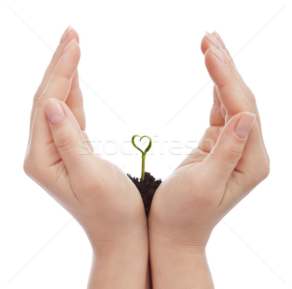 Stock photo: Love for nature