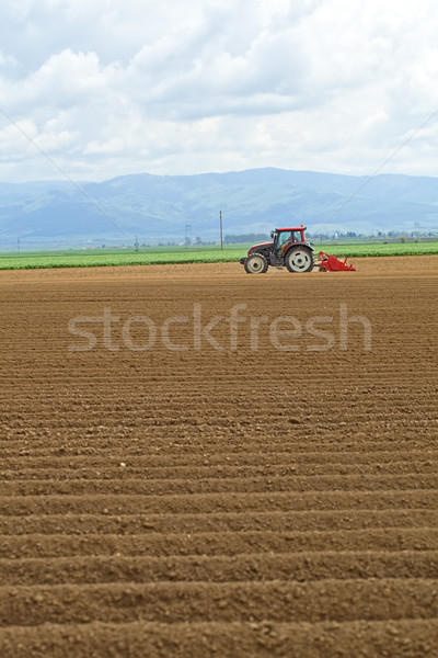 Trator trabalhando campo semeadura batatas moderno Foto stock © lightkeeper