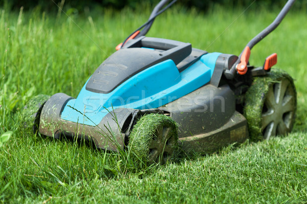 Blue lawnmower cutting grass - closeup Stock photo © lightkeeper
