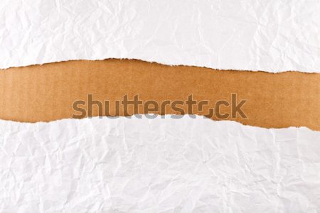 Torn paper strip series - crumpled paper over brown Stock photo © lightkeeper