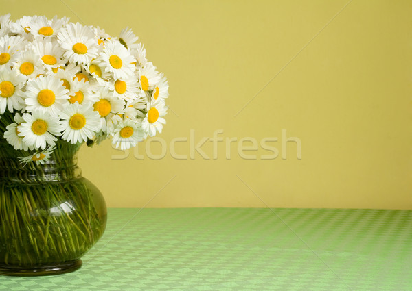 Daisy bouquet in a vase Stock photo © lightkeeper