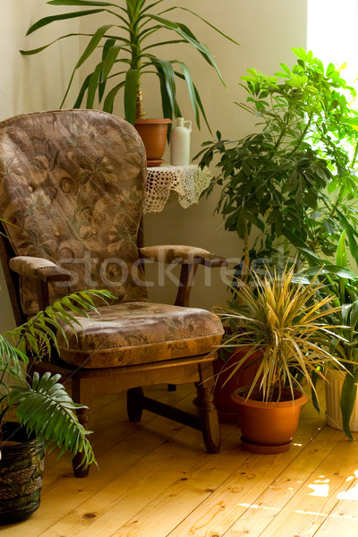 Cozy corner at home Stock photo © lightkeeper