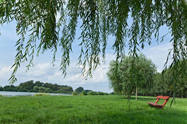 Scène tranquille parc banc belle pelouse arbre Photo stock © lightkeeper