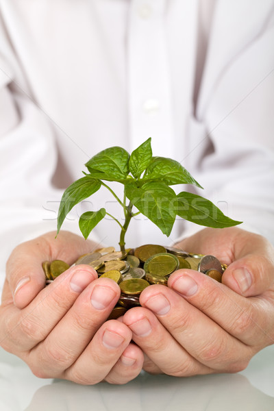 Jó beruházás pénz készít üzletember kezek Stock fotó © lightkeeper