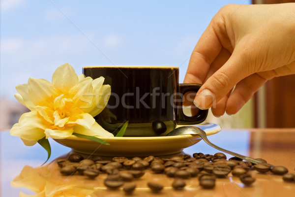 Stock photo: Glorious morning with a delicious coffee