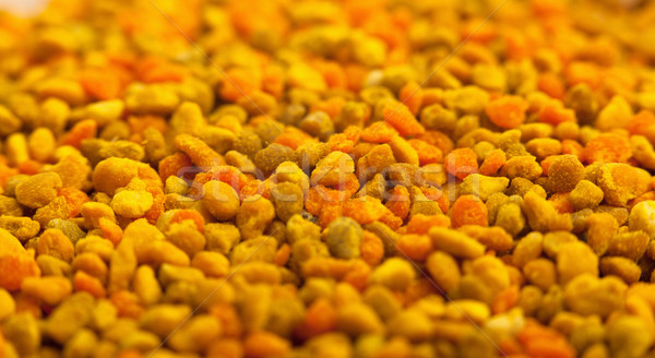 Pollen granules background Stock photo © lightkeeper