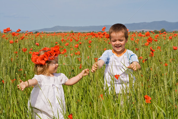 Kinderen poppy veld zomer tijd Stockfoto © lightkeeper