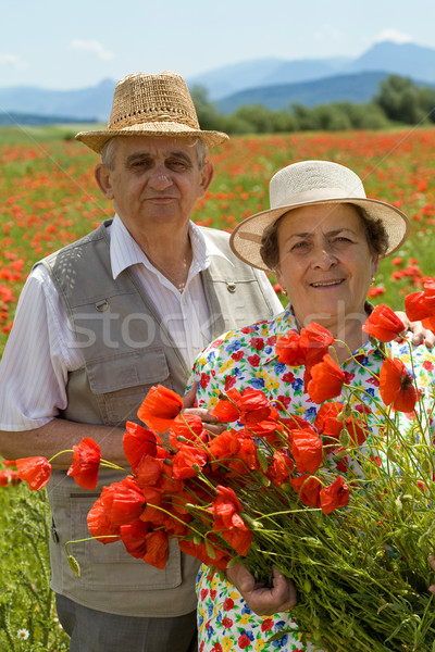 Senior couple enjoying summer Stock photo © lightkeeper