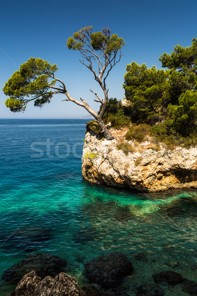 Splendid seacoast of Croatia (Makarska riviera, Brela) Stock photo © lightpoet