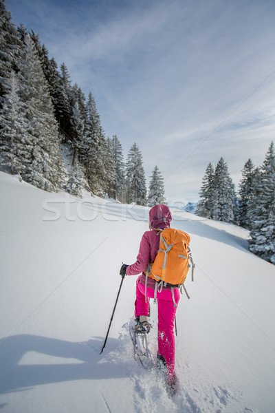 Pretty, young woman snowshoeing in high mountains Stock photo © lightpoet