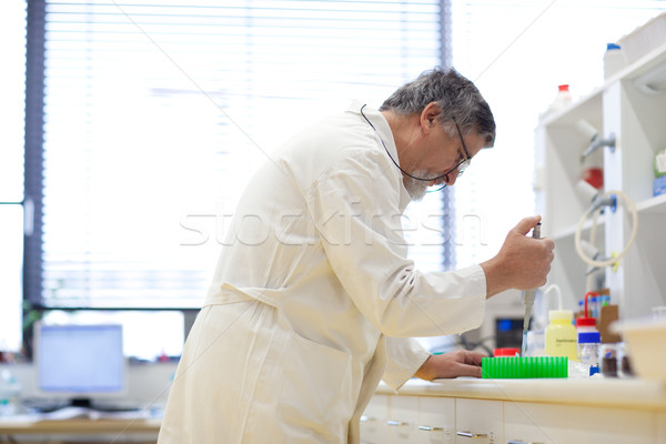 Idős férfi kutató hordoz ki tudományos kutatás Stock fotó © lightpoet