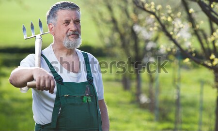 Supérieurs homme jardinage jardin couleur mains [[stock_photo]] © lightpoet