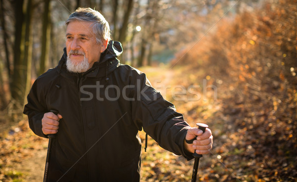 Stock photo: Senior man nordic walking, enjoying the outdoors