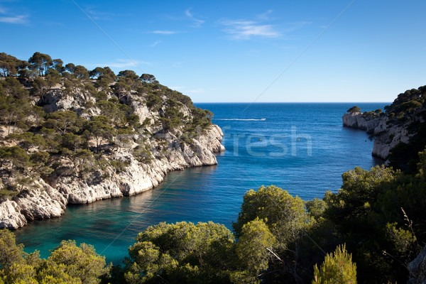 Splendid southern France coast (Calanques de Cassis), southern France Stock photo © lightpoet