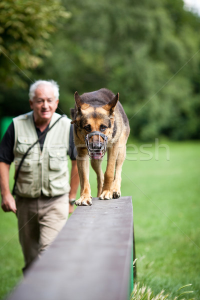 Master and his obedient dog at a dog training  center Stock photo © lightpoet