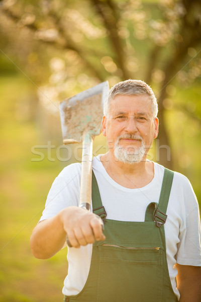 Portrait of a handsome senior man gardening in his garden Stock photo © lightpoet