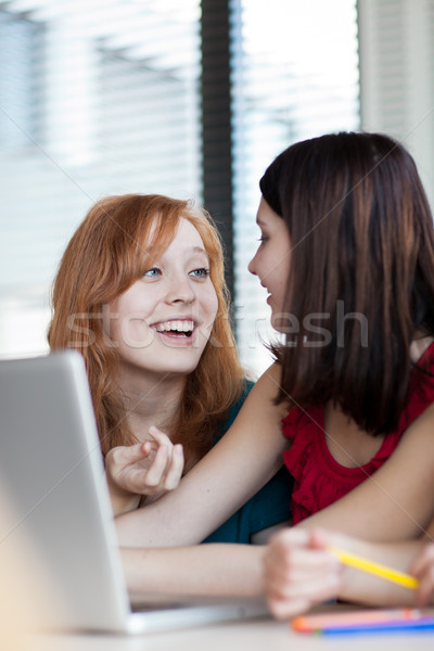 Foto stock: Dos · femenino · universidad · estudiantes · de · trabajo · ordenador · portátil