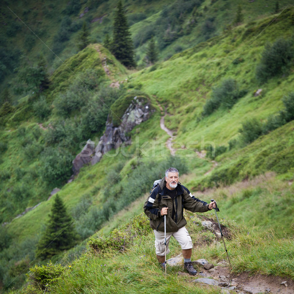 Active senior hiking in high mountains (Swiss Alps)  Stock photo © lightpoet