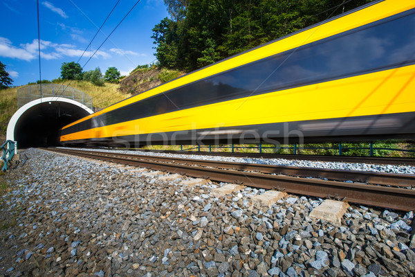 Rapid tren tunel vară zi mişcare Imagine de stoc © lightpoet