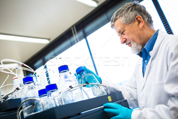 Supérieurs Homme chercheur sur recherche scientifique [[stock_photo]] © lightpoet