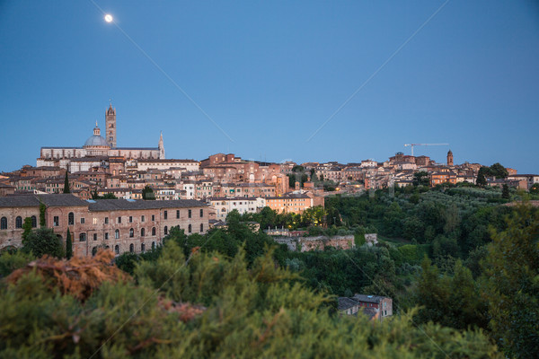 Toskana Italien Wein Stadt Sommer blau Stock foto © lightpoet