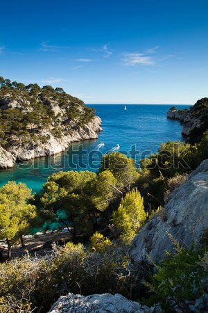 Splendid southern France coast (Calanques de Cassis), southern France Stock photo © lightpoet