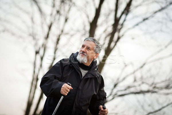 Stock photo: Senior man nordic walking, enjoying the outdoors, the fresh air,