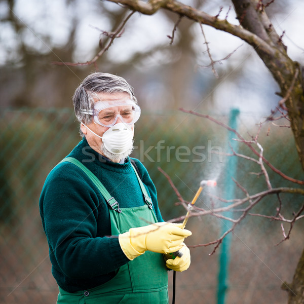 Using chemicals in the garden/orchard Stock photo © lightpoet