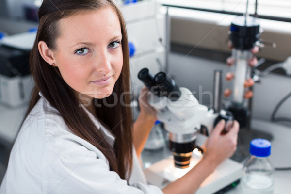 Foto stock: Retrato · femenino · química · estudiante · fuera