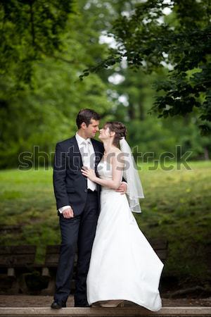 Just married, young wedding couple in a park, walking Stock photo © lightpoet